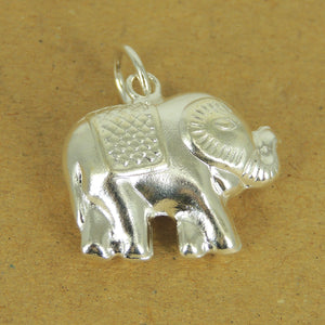 1PC Protective Elephant Pendant - S925 Sterling Silver WSP524X1